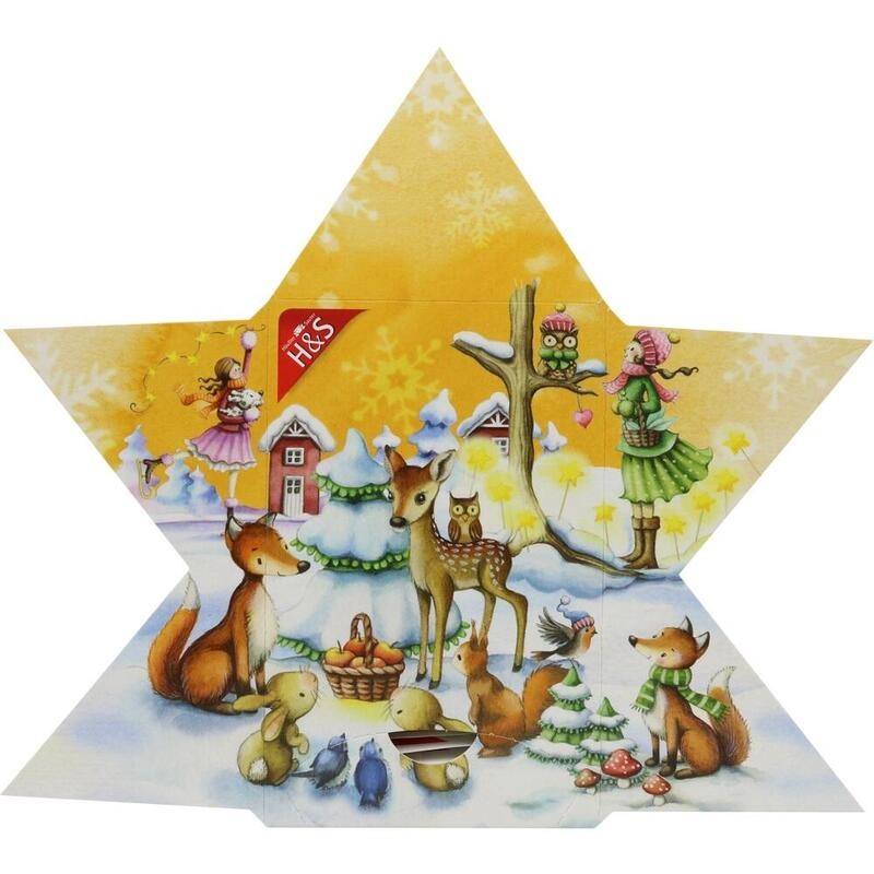 H&S Adventskalender Stern Filterbeutel